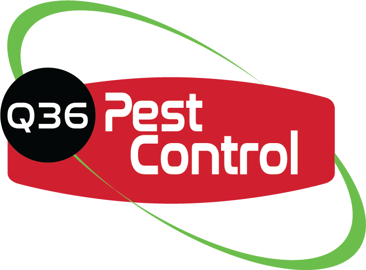 Q36 Pest Control Logo
