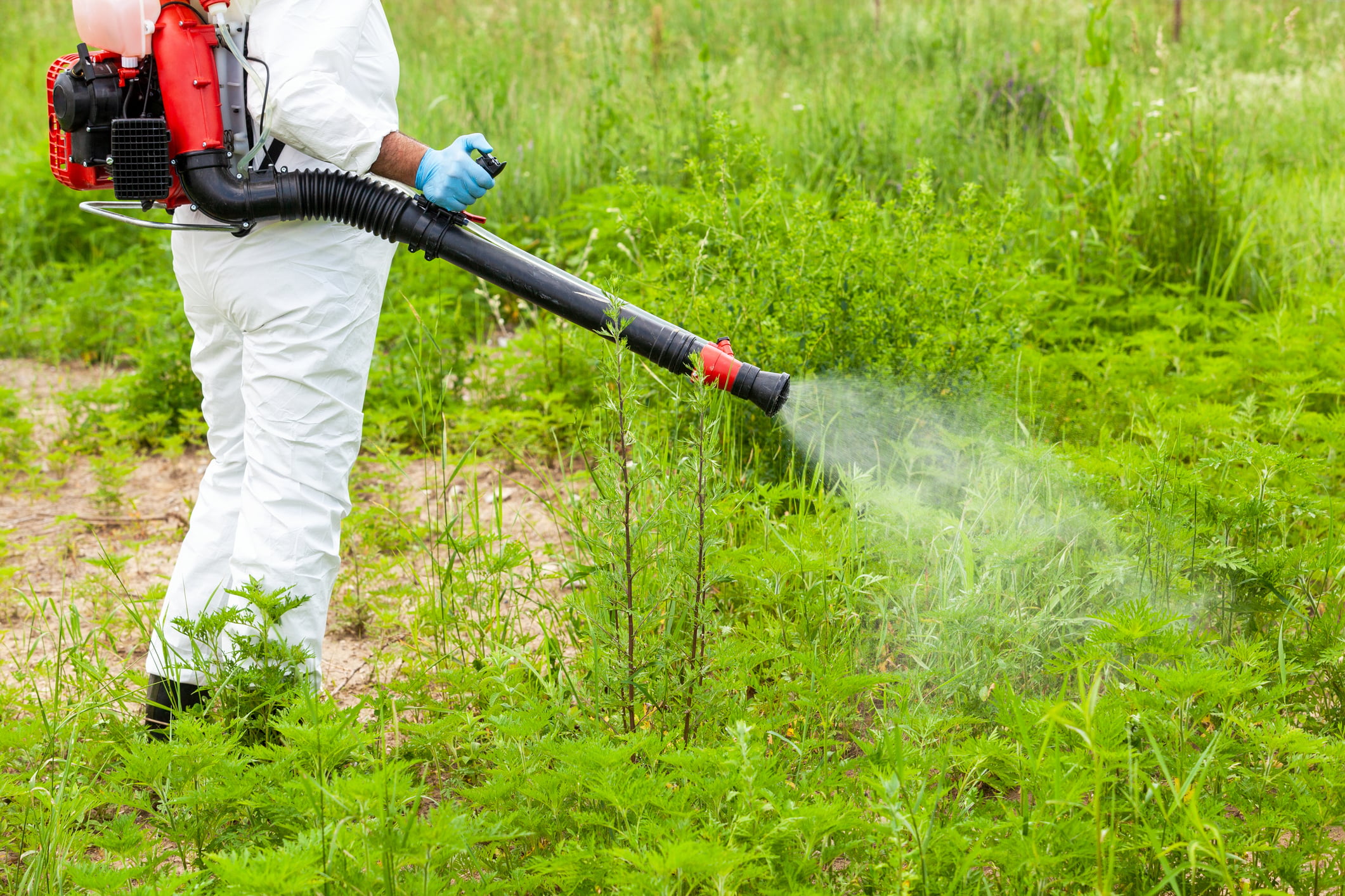 Mosquito and tick treatment